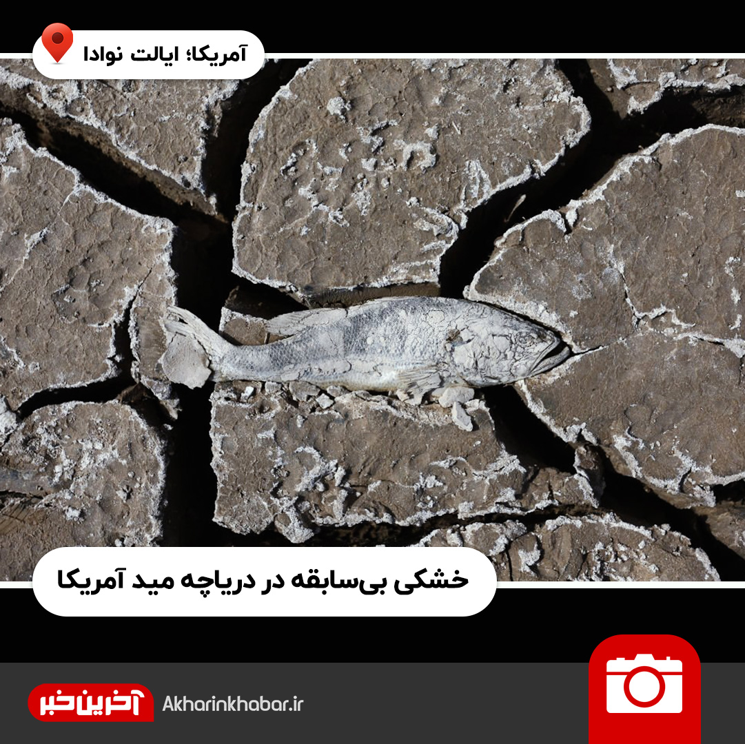 عکس‌های منتخب هفته؛ گاوی که قصد متلاشی کردن صورت گاوباز را دارد!