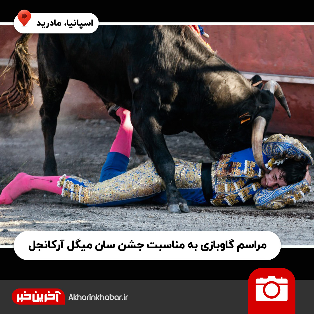 عکس‌های منتخب هفته؛ گاوی که قصد متلاشی کردن صورت گاوباز را دارد!
