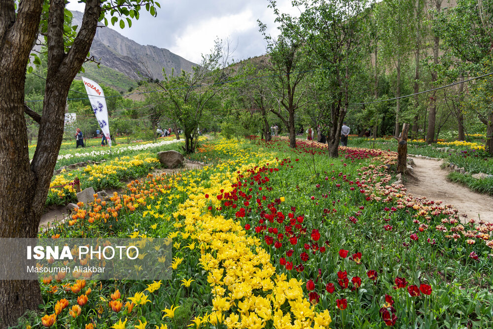 عکس های منتخب هفته؛ نمایی زیبا از روستای «سیاهپوش» قزوین
