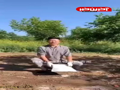 ببینید در چه حجمی آشپزی کرد!