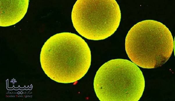 درمان دیابت به کمک ژل پروتئینی