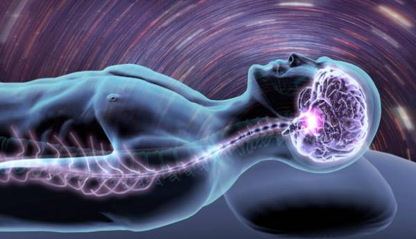 مغز در خواب هم بیدار است!