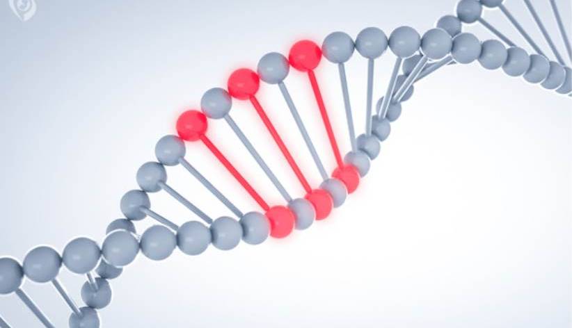 جهش های ژنتیک چطور اتفاق می افتد؟