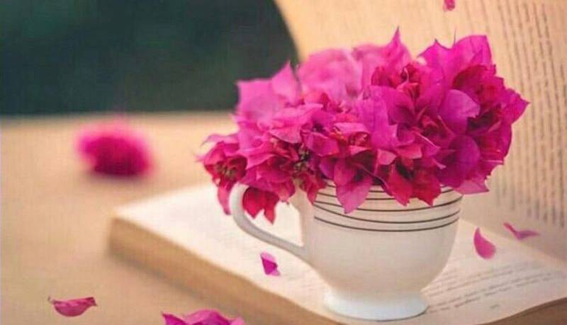 داستانک/ حکایت واقعی زیبا و پندآموز “زود قضاوت نکن” داستانک/ حکایت واقعی زیبا و پندآموز “زود قضاوت نکن”