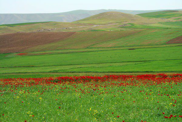 دشت مُغان؛ جلگه ای زیبا در شمال غربی ایران