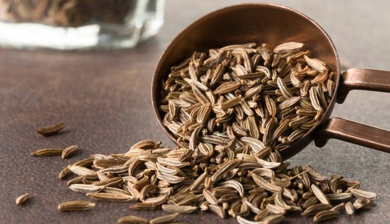 گیاهی که ناراحتی های گوارشی را درمان میکند   گیاهی که ناراحتی های گوارشی را درمان میکند