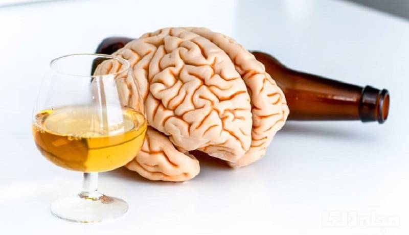 الکل مغز را کوچک می‌کند