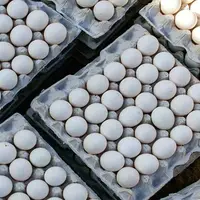 کاهش ۴ هزار تومانی قیمت تخم مرغ در میادین تره بار