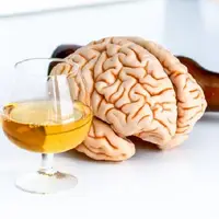 الکل مغز را کوچک می‌کند