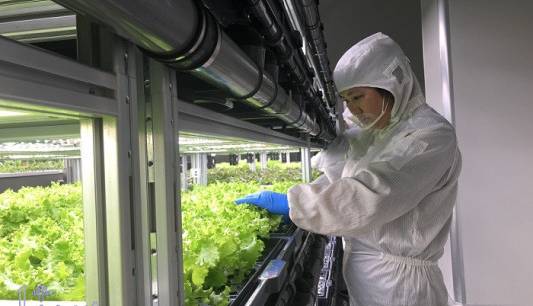 کشت سبزیجات در محیط فضایی شبیه سازی شده