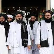 طالبان با آمریکا روابط پنهان دارد؛ ضد آمریکایی نیست