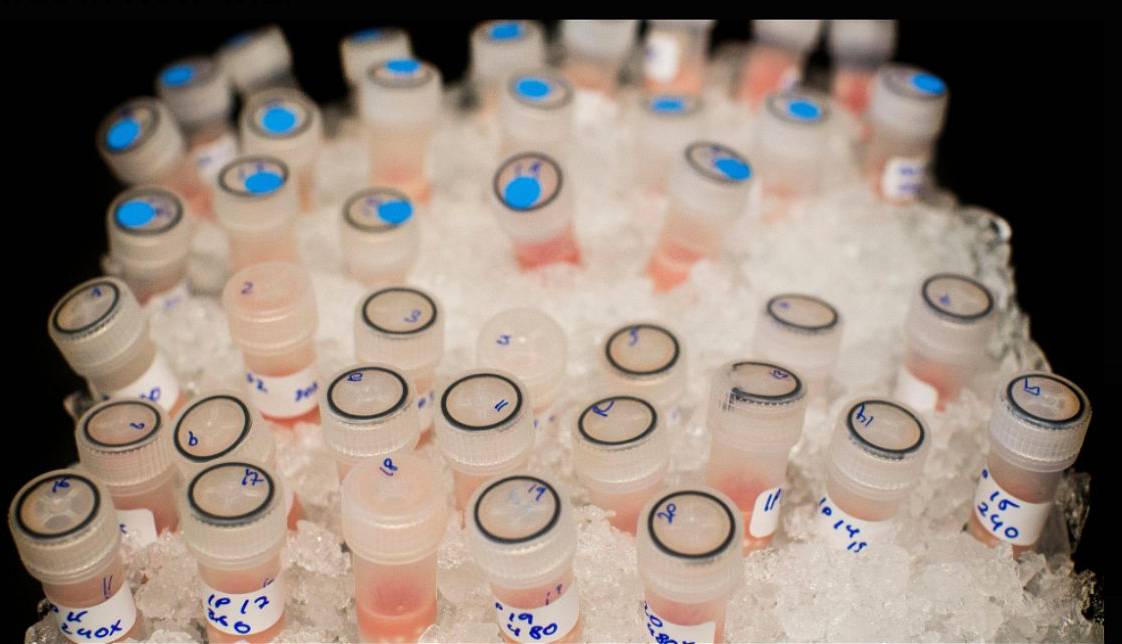 اولین آزمایش بالینی درمان سرطان با ویروس واکسینیا