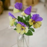 گل بنفشه کاغذی بهترین ایده بهاری برای زیبایی خانه شما