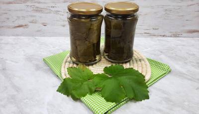 ۳ روش نگهداری برگ مو