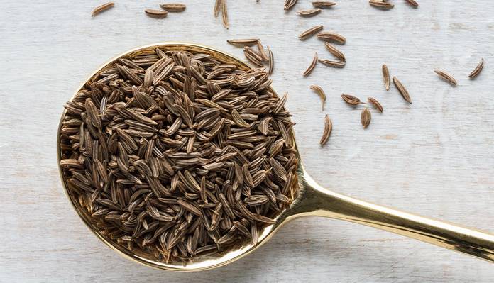 زیره سیاه اشتها آور است