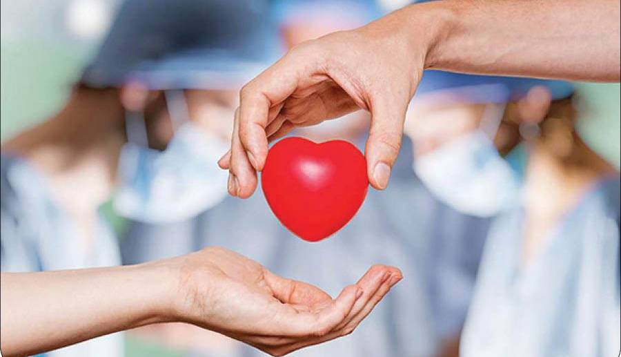 تولدی دوباره با اهدای عضو