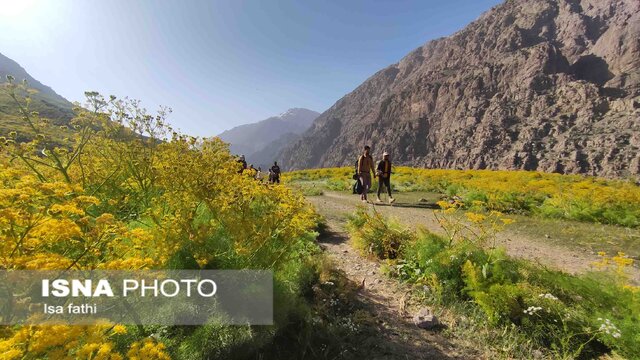 دریاچه زیبای «کوه گل» سی‌سخت