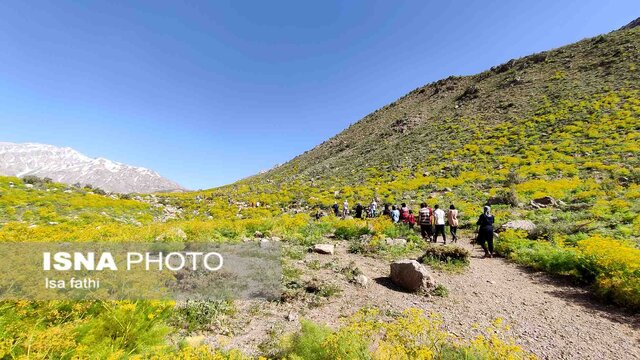 دریاچه زیبای «کوه گل» سی‌سخت