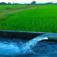 شرایط برخورداری اشتراک‌های چاه آب کشاورزی از برق رایگان اعلام شد
