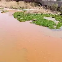 رودخانه مهاباد دوباره تغییر رنگ داد