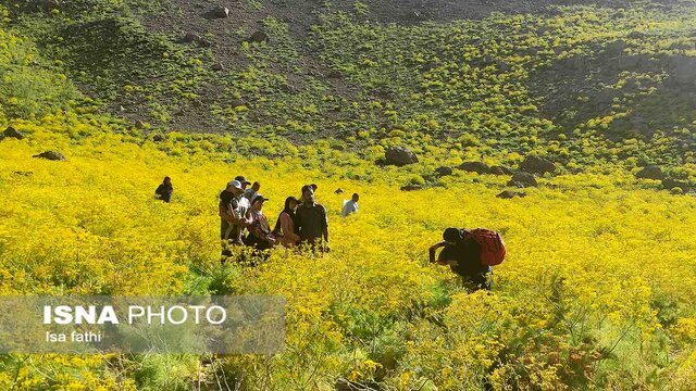 دریاچه زیبای «کوه گل» سی‌سخت