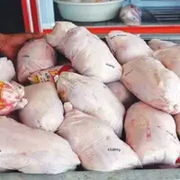 کشف و ضبط گوشت مرغ غیربهداشتی در مریوان