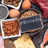 پروتئین چگونه انرژی بدن را تأمین می‌کند؟