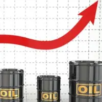قیمت نفت در مرز 114 دلار ایستاد 