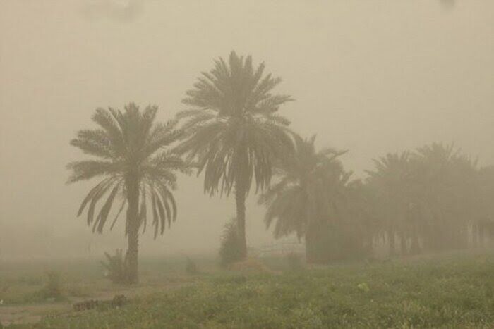 صدور هشدار هواشناسی نسبت به ورود گردوغبار فرامنطقه‌ای به بوشهر