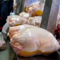 قیمت مرغ کاهش یافته است؟