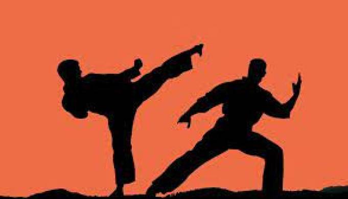 ورزش های رزمی برای مغز مضر هستند