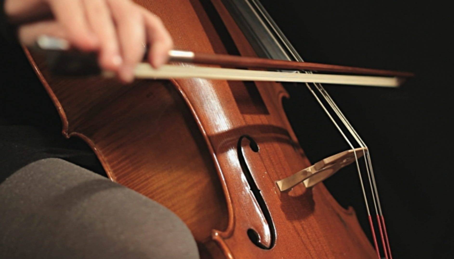 سه نوازی سازهای پیانو و دبل باس و ویولن