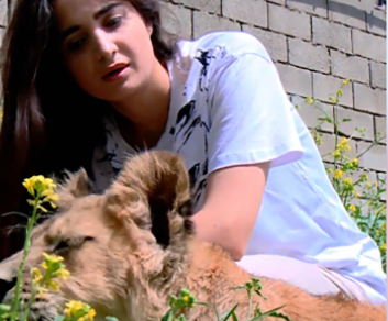 نگهداری از یک شیر در مسکو