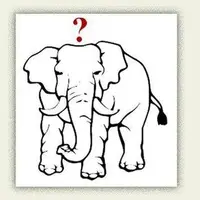 چه کسی اول از دماغ فیل افتاد؟