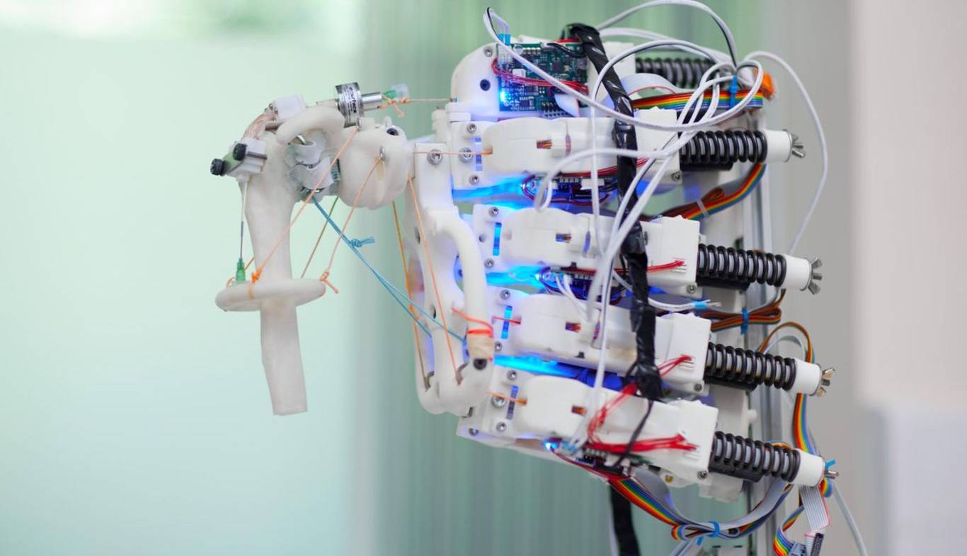 رشد سلول در اسکلت ربات‌ها؟! 