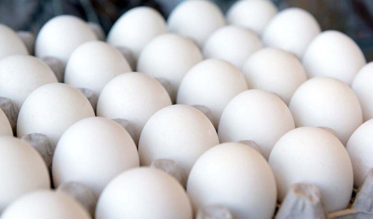 کاهش قیمت مرغ و تخم‌مرغ؛ صادرات آزاد شد 