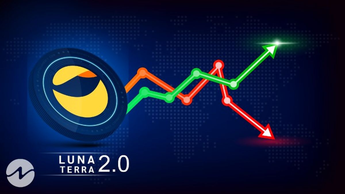 هم‌بنیان‌گذار دوج‌کوین: طرفداران لونا 2.0 واقعا بی‌عقل هستند