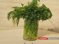 ایده ای متفاوت برای تازه نگه داشتن سبزیجات در یخچال