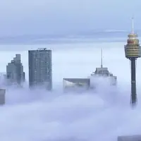مه غلیظ صبحگاهی  در سیدنی