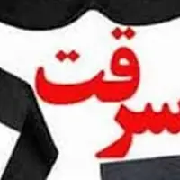 دستگیری 4 سارق حرفه‌ای با 15 فقره سرقت در بناب