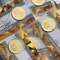 رئیس اتحادیه طلا: بعید است قیمت سکه از ۱۴میلیون تومان بالاتر برود اما شاید هم رفت!
