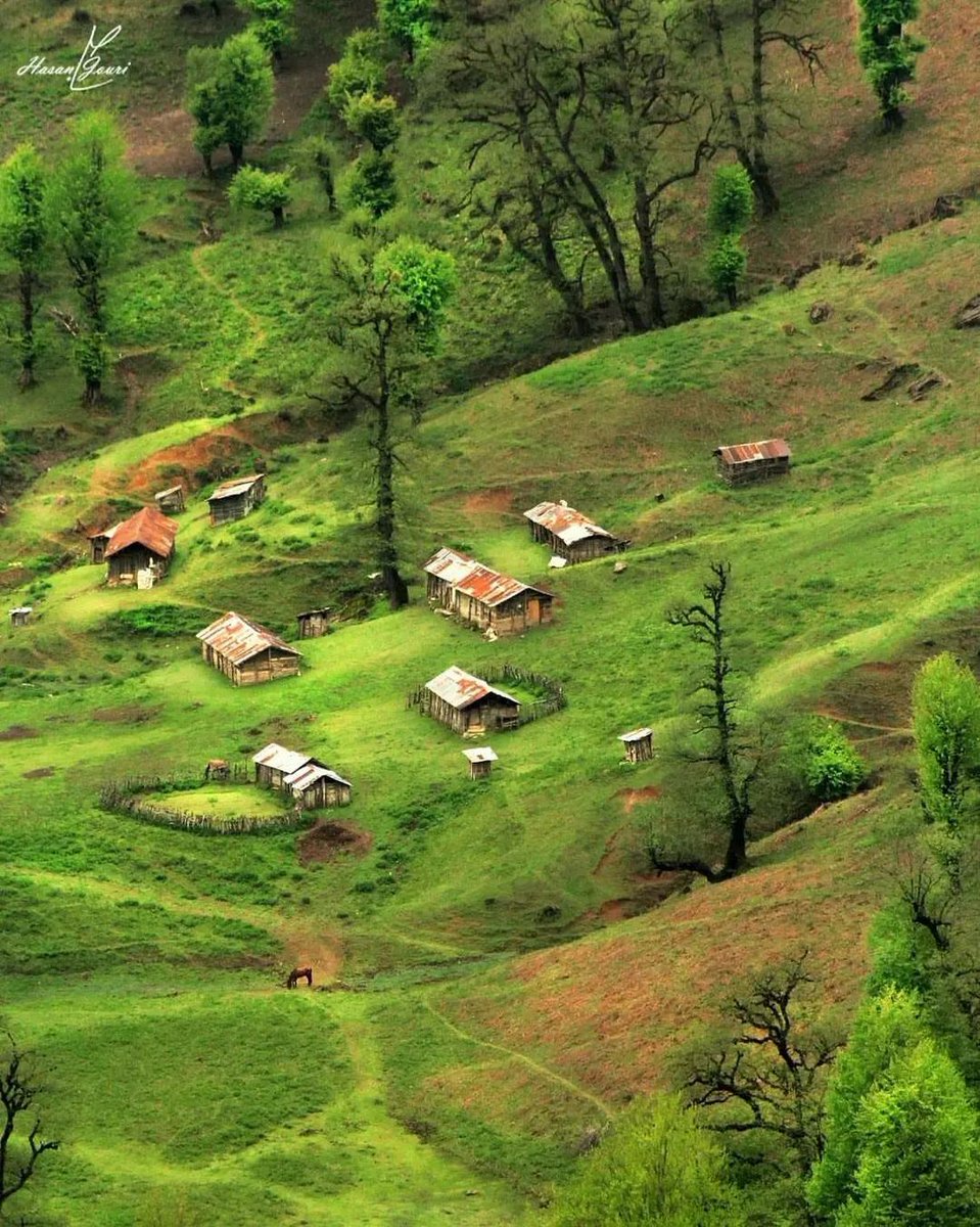 طبیعت زیبای ماسال