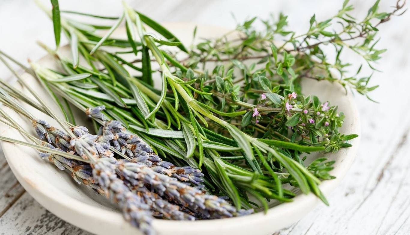 تأثیر رزماری بر حافظه پشتوانه علمی دارد؟