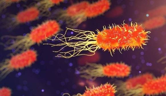 شیوع اسهال ویروسی در کشور؛ آماده باش وزارت بهداشت  