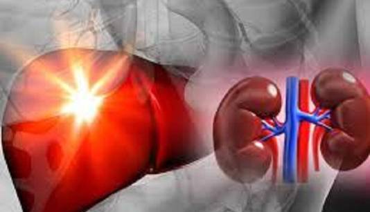 کشف یک بیماری جدید که کبد و کلیه را درگیر می کند