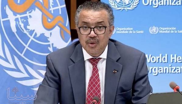 سازمان جهانی بهداشت: خطر همه گیری آبله میمونی وجود ندارد