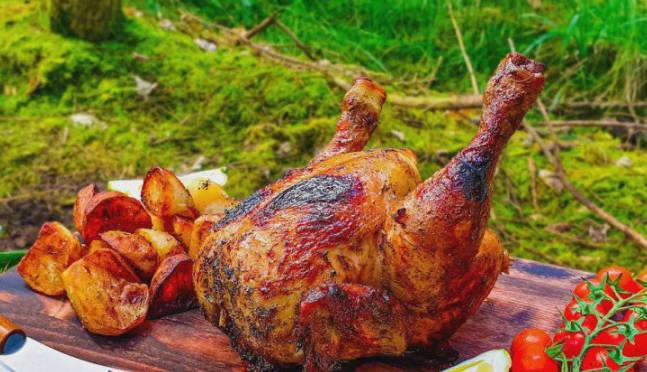 «مرغ جنگلی» غذای بیرون شهری خوشمزه