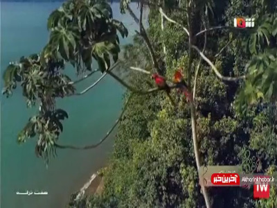 نماهنگ «جومه نارنجی» با صدای عبدالرسول کارگشا