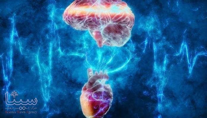 دیابت به مغز آسیب می زند