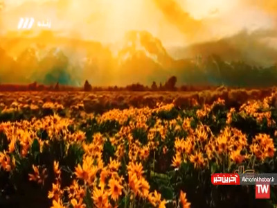 نماهنگ “شاخه گل” با صدای کسری زاهدی